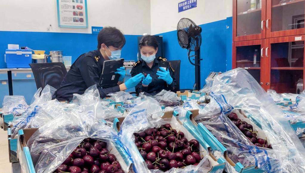 再创新高！看广东外贸背后的“稳”“优”“新”